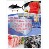 -60℃金槍魚冷庫，低溫速凍庫，深圳低溫冷庫