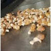 振動(dòng)輸送機(jī)