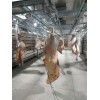 進(jìn)口凍牛羊肉低溫緩化解凍庫 肉制品解凍機(jī)