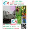 蔬菜真空預(yù)冷機(jī)，果蔬真空預(yù)冷機(jī)，娃娃菜真空預(yù)冷機(jī)