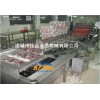 雙膽多功能清洗機(jī) 佳品機(jī)械