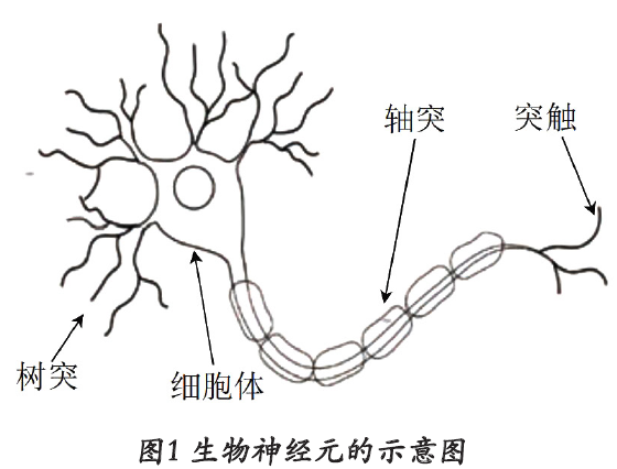 点击打开原图
