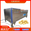 毛刷清洗機 去皮清洗機 大棗清洗機